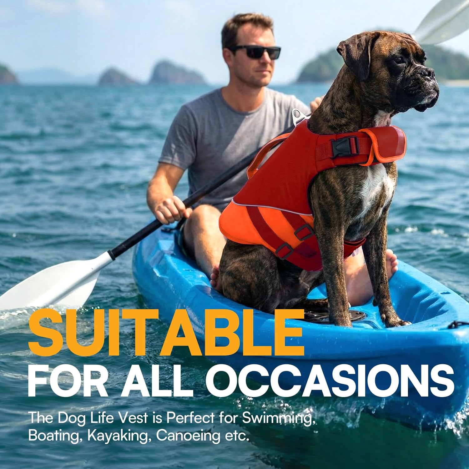 Queenmore Small Dog Life Jacket, Dog Life Vest for Swimming Boating, Puppy Swim Vest for Small Dogs, Ripstop High Visible Pet Water Vests with Strong Rescue Handle, Red S