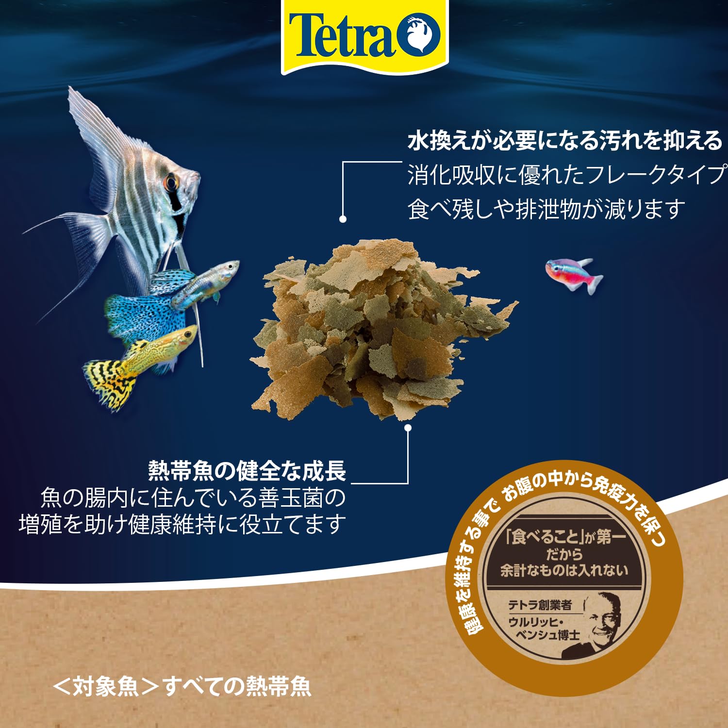TETRA テトラ テトラミン 52g 6缶 熱帯魚 餌 楽天市場】テトラ (Tetra
