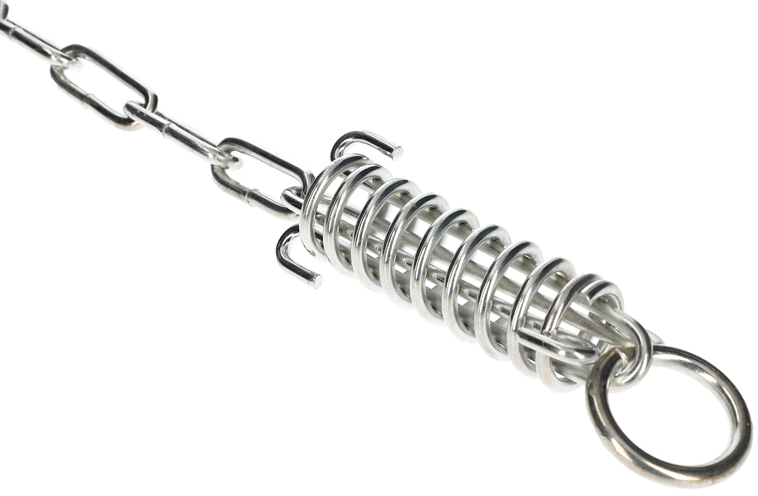 KOTARBAU® Catena per Cani 4 mm 3 m con Molla Ammortizzante e Chiusura Robusta Protezione per Cani in Filo di Acciaio Zincato