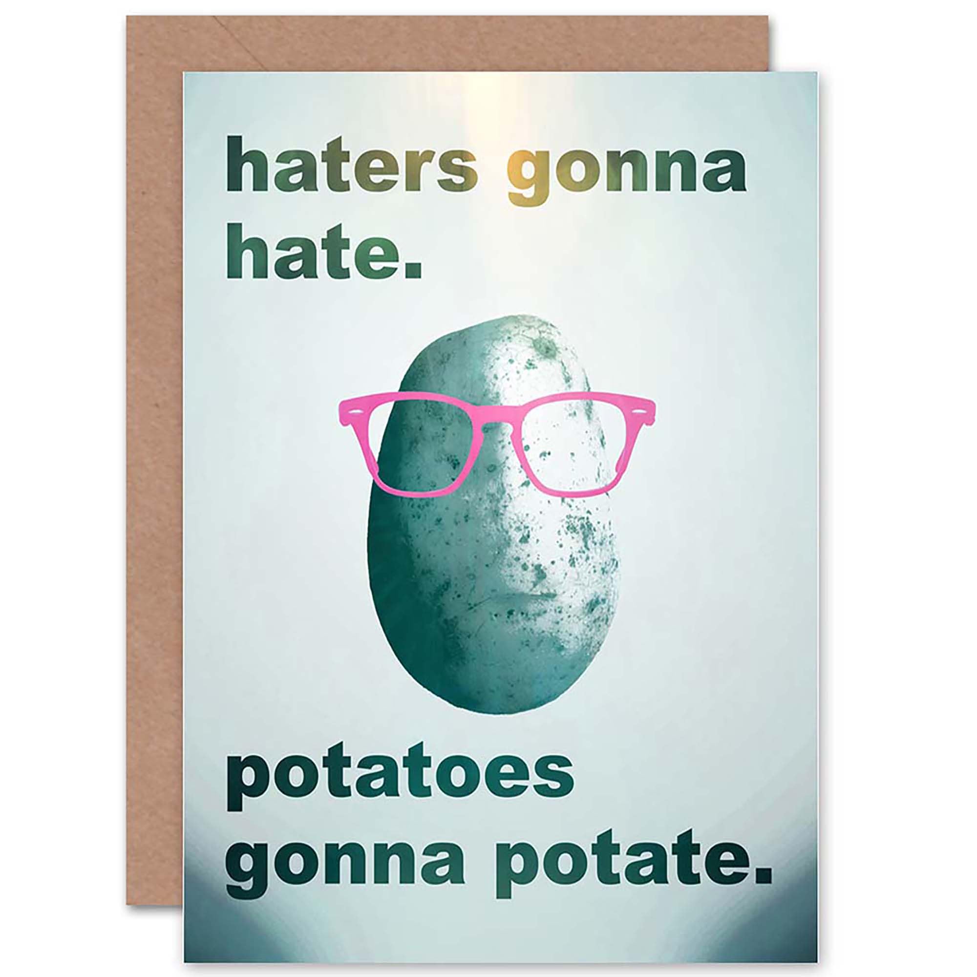 Artery8 Greeting Card - Haters Gonna Hate Potato Design - Grey