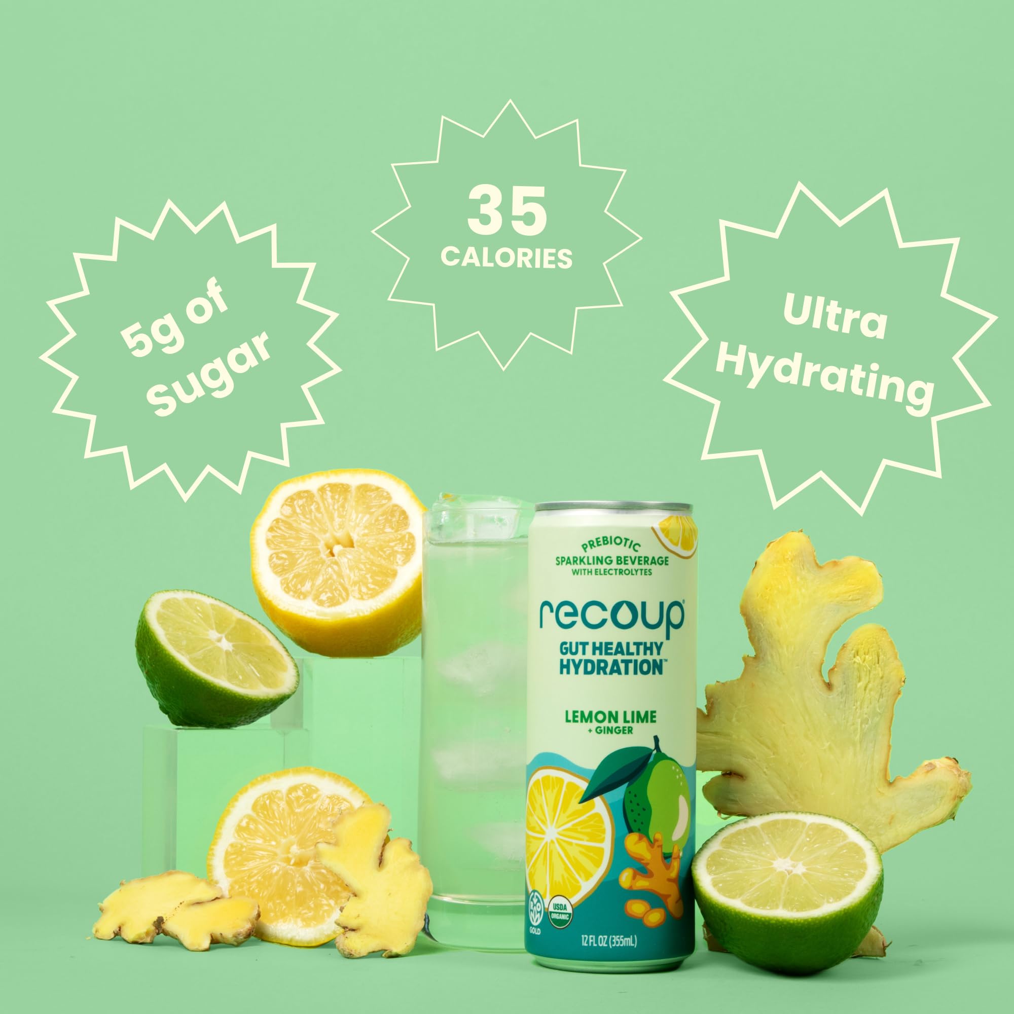 Amazon.com : Recoup Organic Sparkling Prebiotic Drink - Ginger
