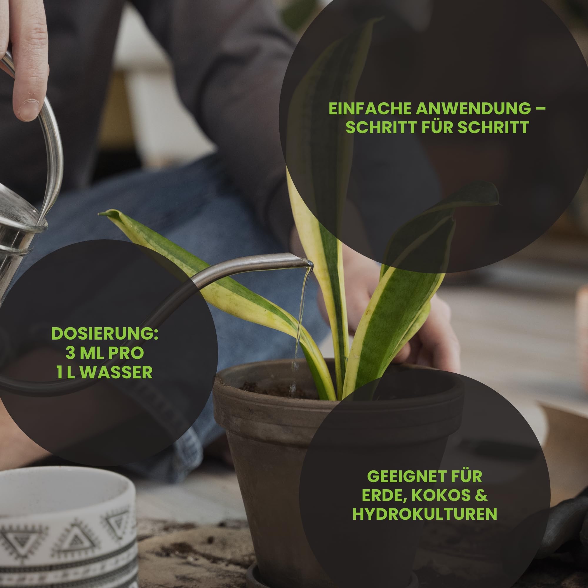 Organischer Flüssigdünger Set – Big Start, Power Plant, Power Bloom & PK Juice – Bio Flüssigdünger für Gemüse & Pflanzen (1 L)