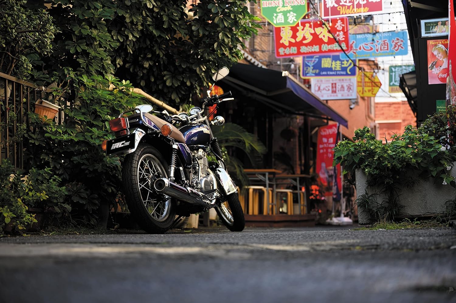 IRC(アイアールシー)井上ゴム バイクタイヤ GS-19 リア 110/90-18 61S チューブタイプ(WT) 129063 二輪 オートバイ用 - 5