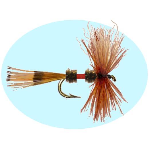 Fly Fishing Simulator