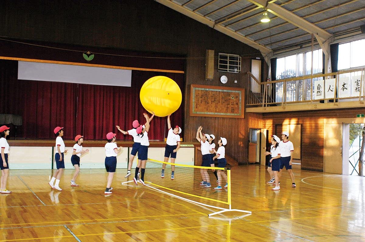 Amazon.co.jp: TOEI LIGHT(トーエイライト) ジャンボゲームボール120 B