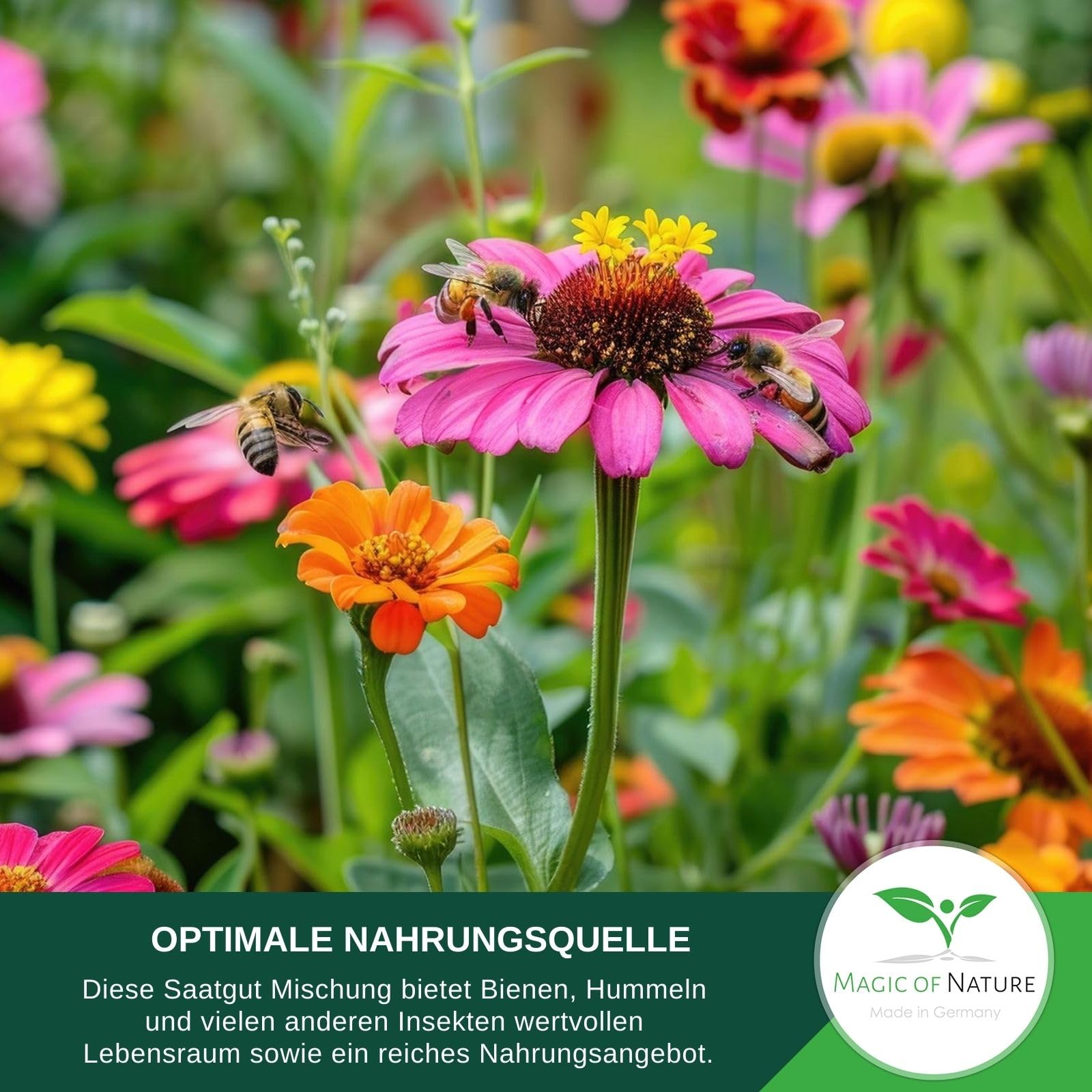 Magic of Nature: Blumensamen Mischung 2,5kg Bienen-Paradies Bienenweide | Über 20 einheimische Arten ohne Gräser - Hohe Keimkraft für 750-1250 m²