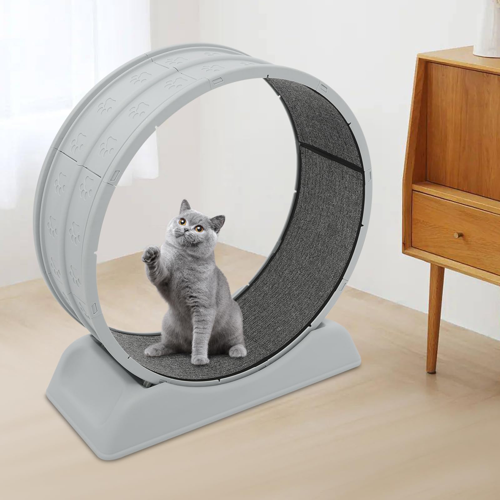 Ruota per gatti, 80 cm, portata 10 kg, base antiscivolo, 79 x 34 x 84 cm, chiave di sicurezza con tappeto rimovibile, ruote silenziose, ideale per soggiorno, balcone