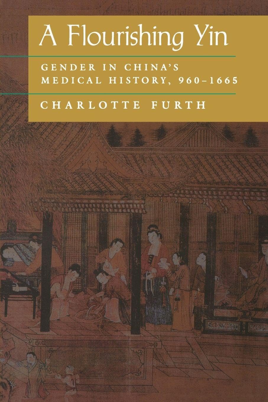 A Flourishing Yin: Gender in China's Medical History: 960–1665 (Philip E.Lilienthal Books)