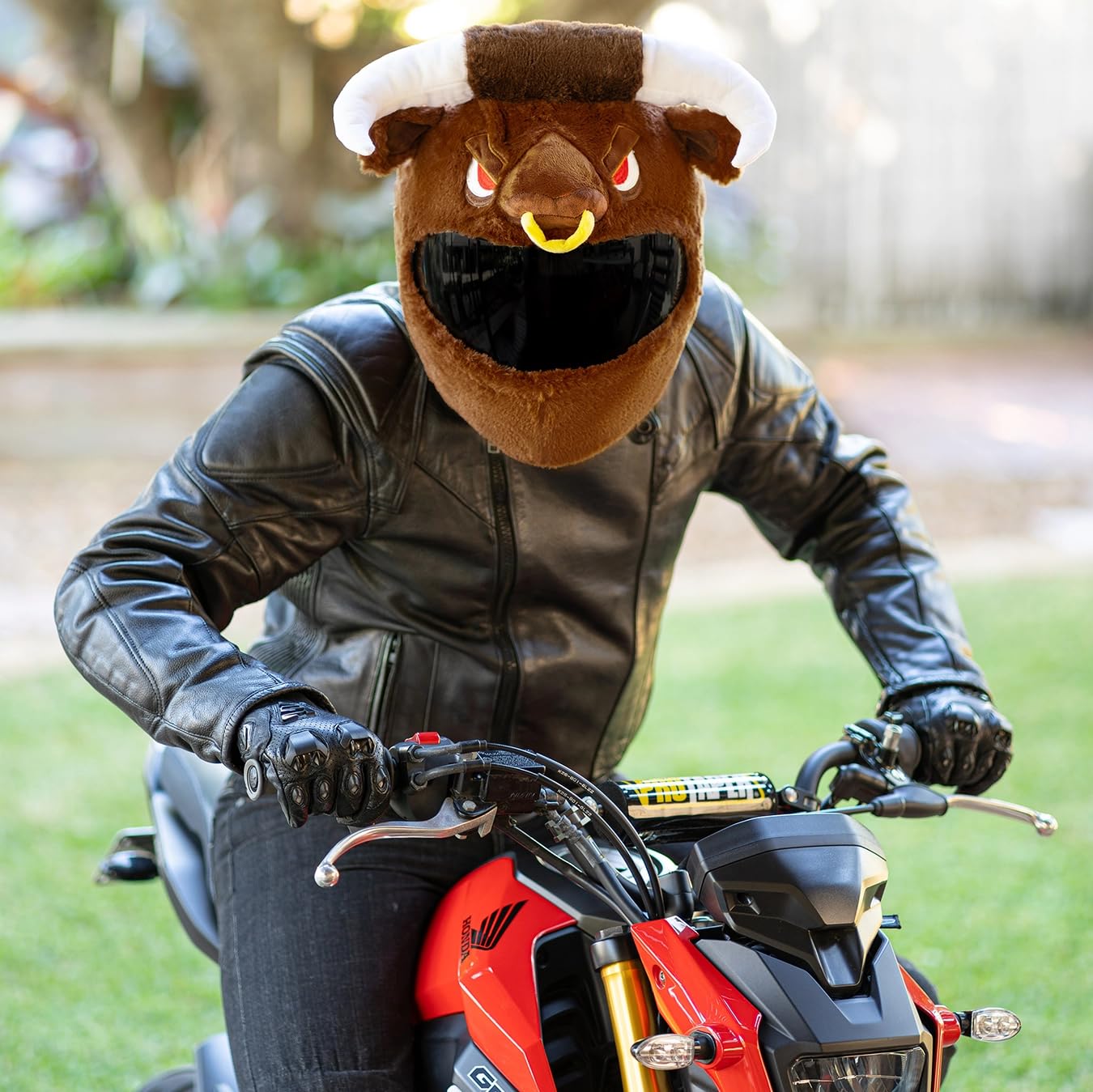 Moto Loot Helmet Cover for Motorcycle, Fun Rides and Gifts (Cover Only. Helmet Not Included) - Bull