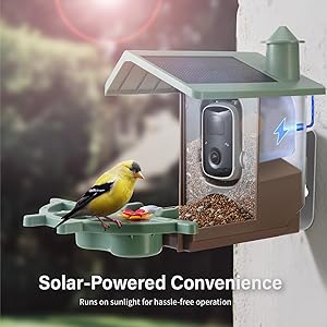 Smart Bird Feeder with Camera Solar Powered Outdoor - 2K HD Live Video, AI Bird ID, Squirrel-Proof, Instant Alerts & IP65 Weatherproof Outside, Great Gift for Familys & Friends