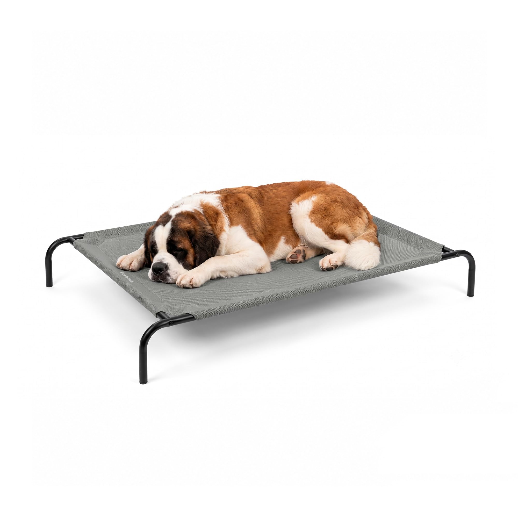 Furbedz Cama Elevada para Perro XL, Transpirable, Lavable y Resistente