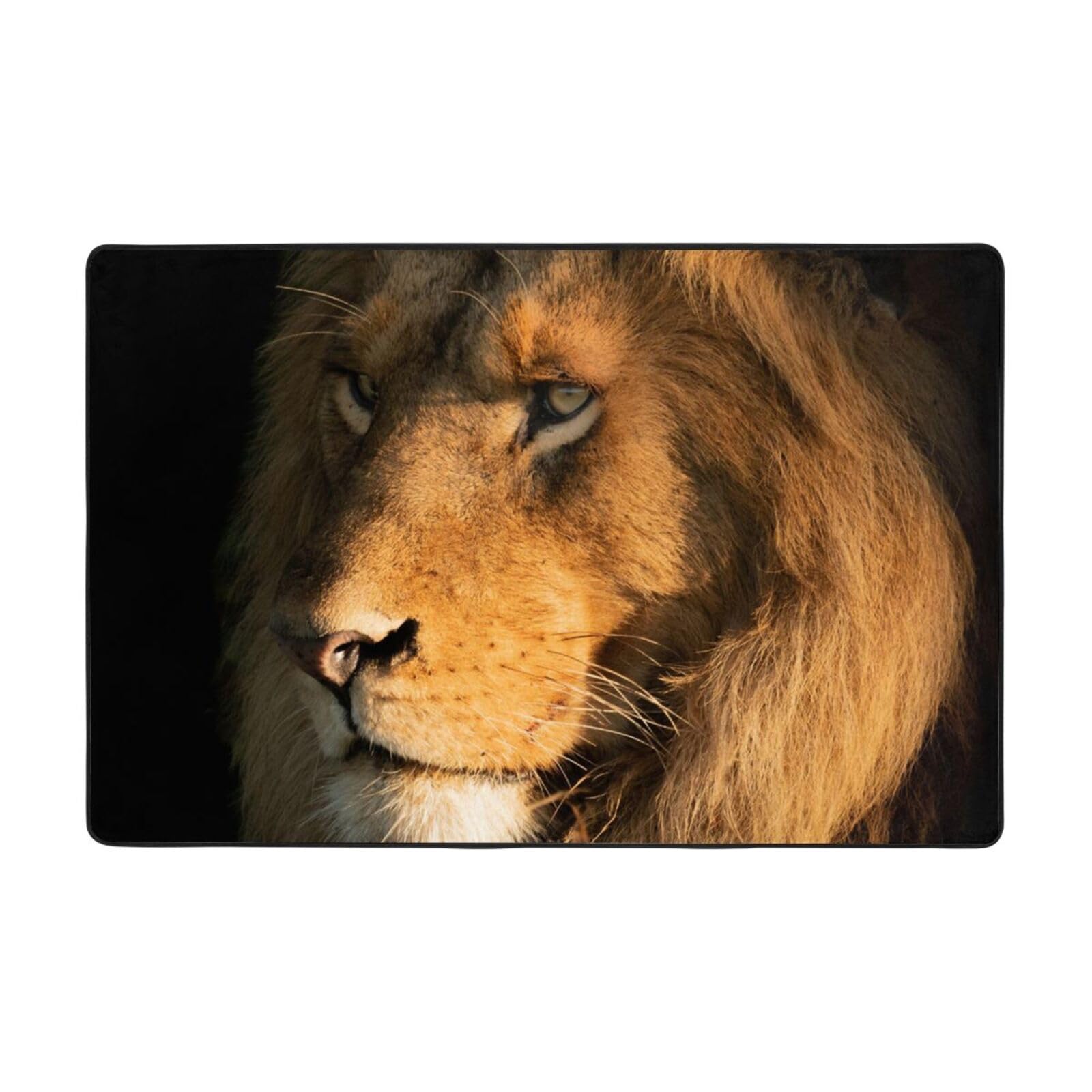 Tapis absorbant flanelle avec envers antidérapant et motif lion pour chambre