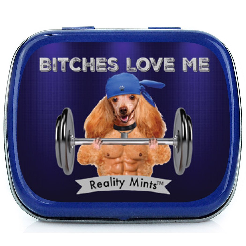 Buy Funny Statement Mints Breath Fresheners for Adults Mens Gag