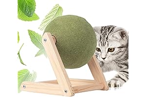 Interactive Mint Ball Cat Toy: Purrfect Stimulation and Entertainment
