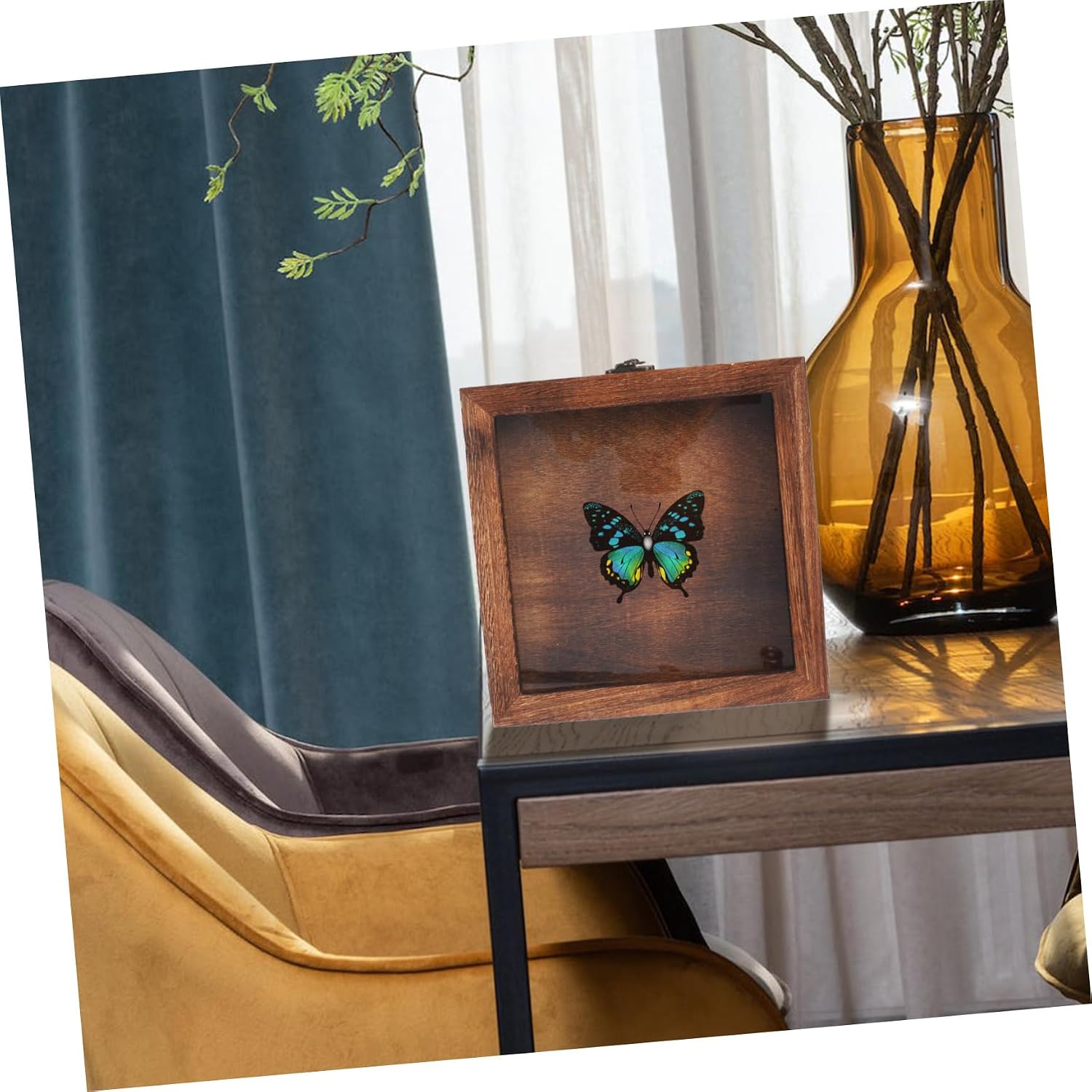 STOBAZA Entomology Display Case Insect Specimen Frame Box Wooden Collection Storage Case Jewelry Holder
