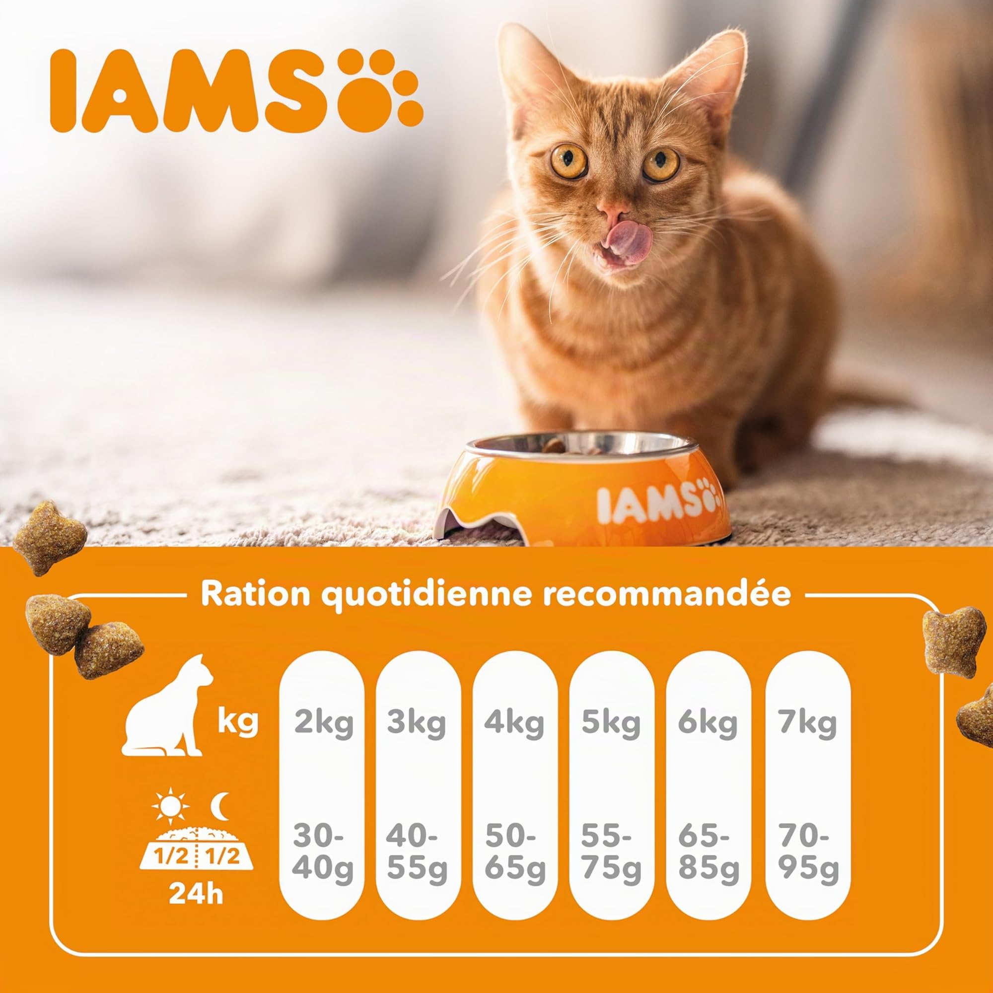 IAMS Croquette au Poulet pour Chat Senior 10 kg