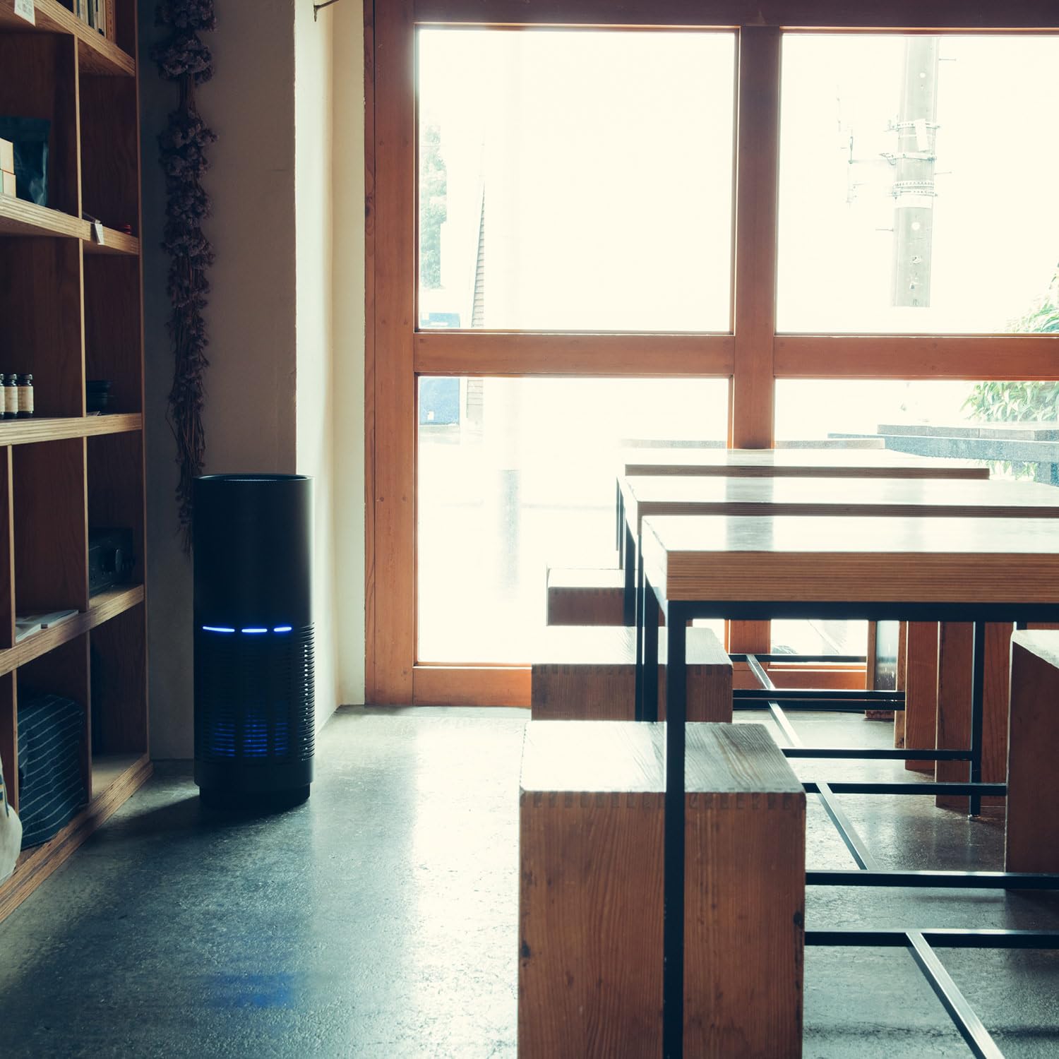 Amazon | cado 空気清浄器 LEAF AP-C320／カドー ワンサイズ クール