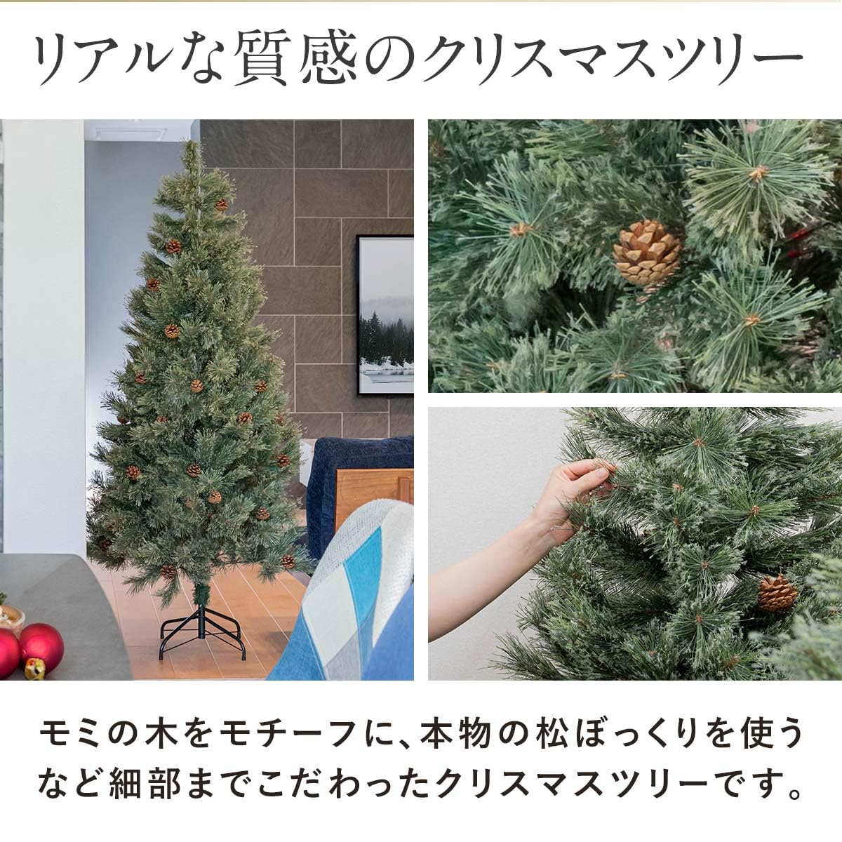 完売 【野生の可愛い樅の木さん】生まれたて1年生と2年生/クリスマス