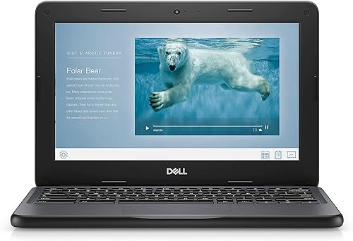 Vista 2 de Dell Chromebook 11 3100 - Chromebook de 11.6 pulgadas - 1366 x 768 - Celeron N4020 - 4 GB RAM - 16 GB de memoria flash - Chrome OS - Gráficos Intel