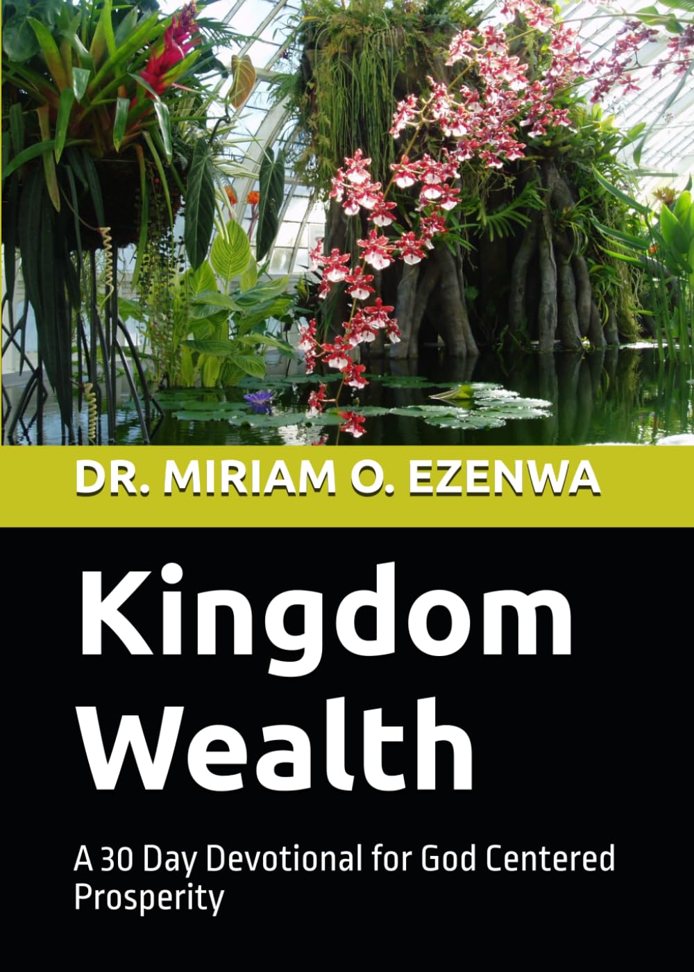 Kingdom Wealth: A 30 Day Devotional for God Centered Prosperity