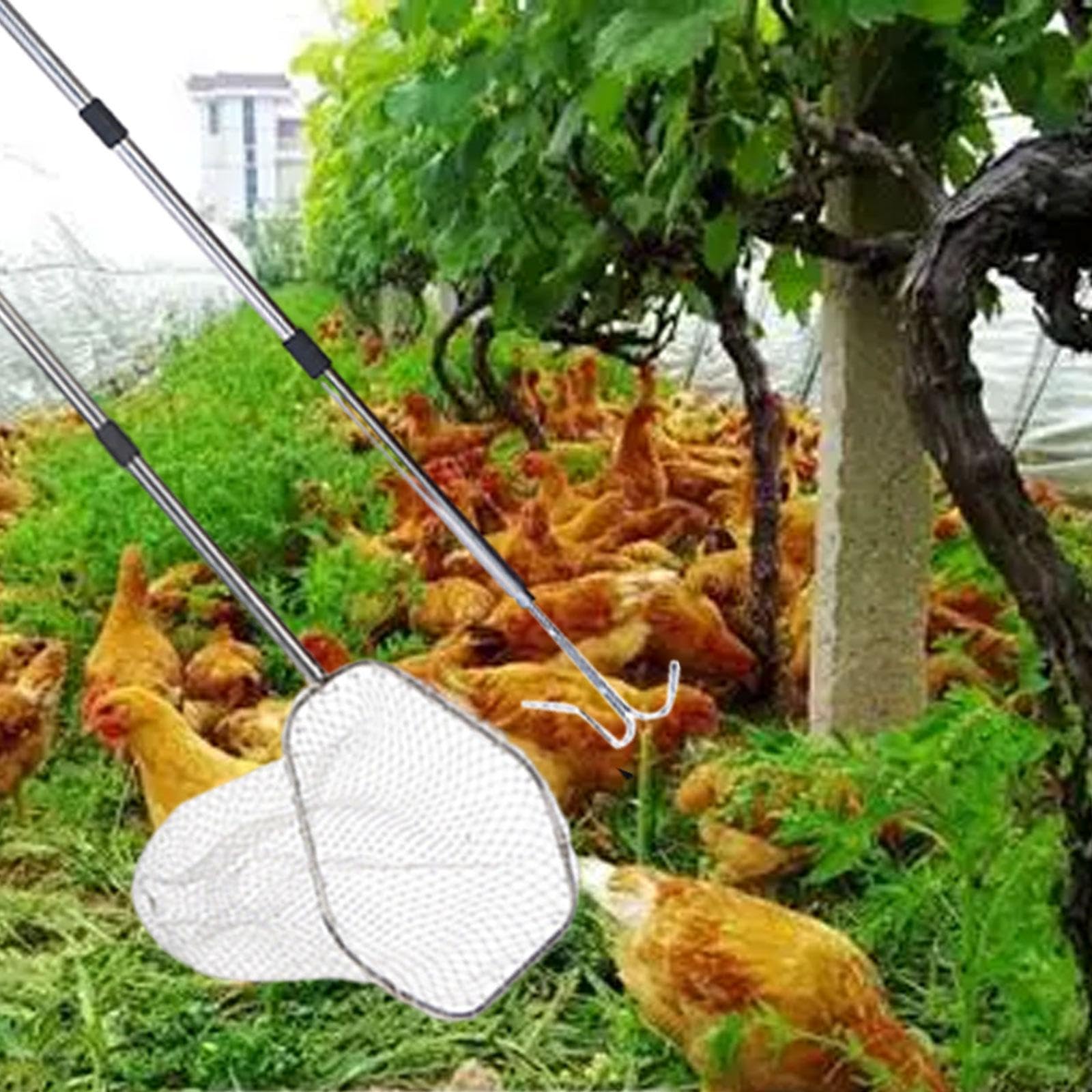 Red para Aves de Corral, Herramienta para Animales de Granja, Profesional, Versátil Y Práctica, Accesorios para Gallineros, para, Gatos Pequeños, Barra de Enlace