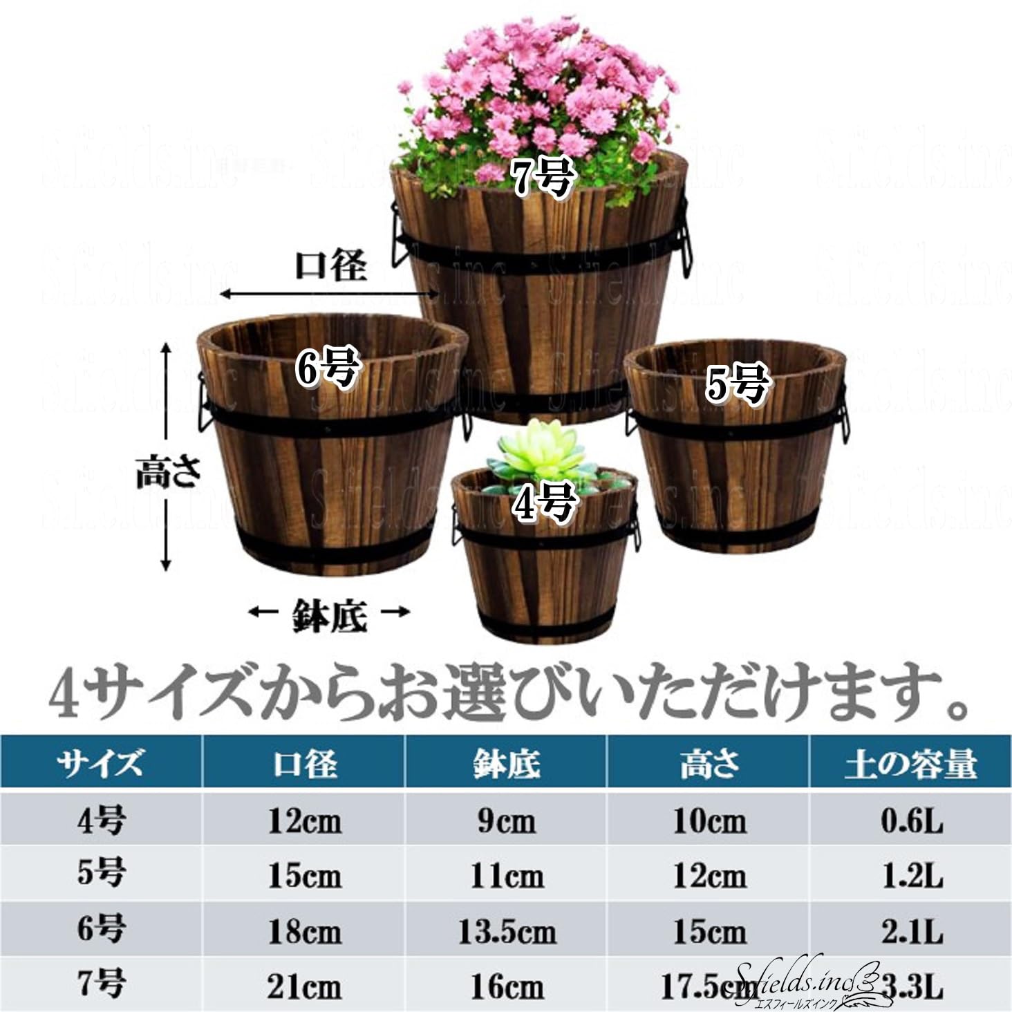 セール中 VALIEM S bitter ビター 鉢 ACT2 セール中 VALIEM S size 鉢