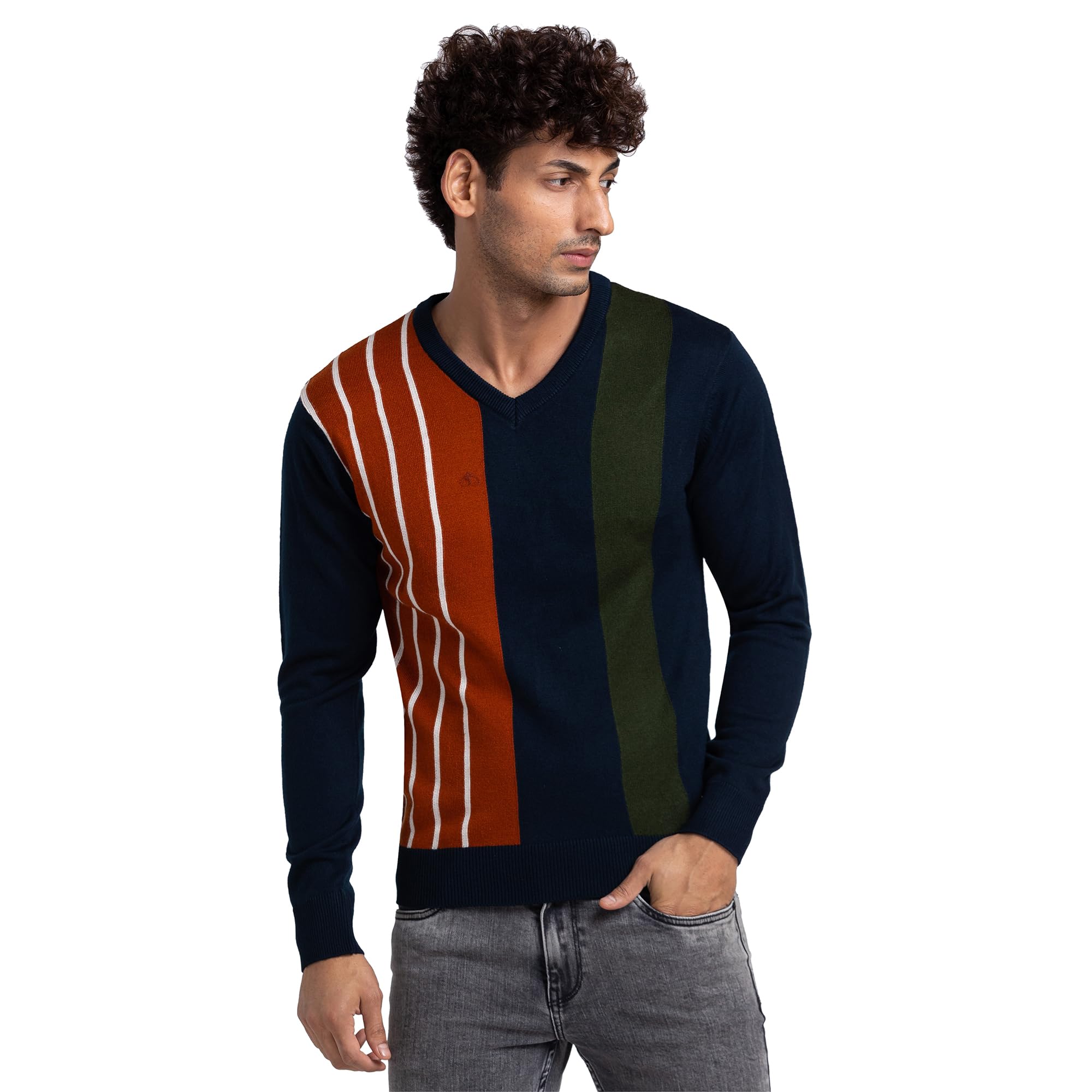 parx Men Regular Fit Intarsia Pattern Pure Acrylic Full Sleeve V Neck Casual Sweater-picture-25
