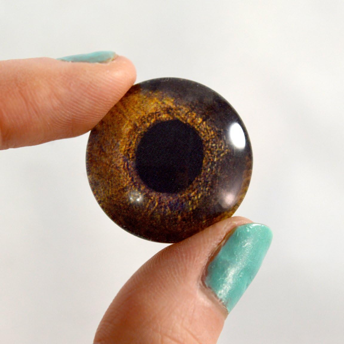 30mm Bird Eyes Wholesale Glass Eye Cabochons for Crafting Jewelry Making Taxidermy 5 Pairs Bulk Lot