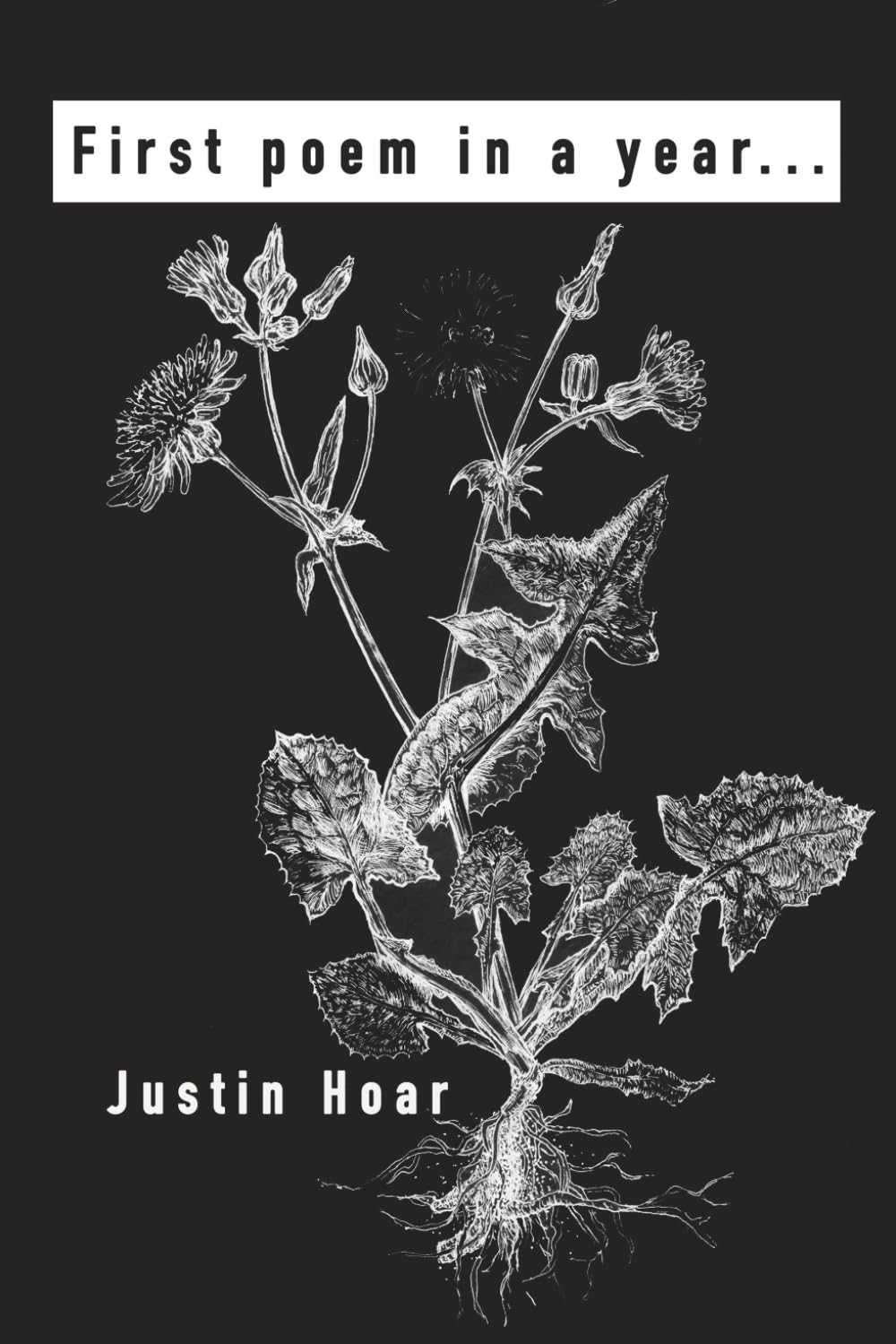 First Poem in a Year: Poetry by Justin