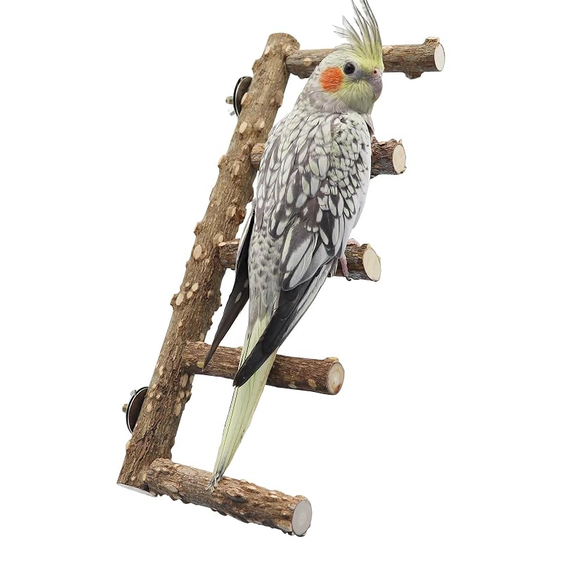 Poleiro para Aves em Madeira Natural Dnoifne para Gaiola, 39,9 cm