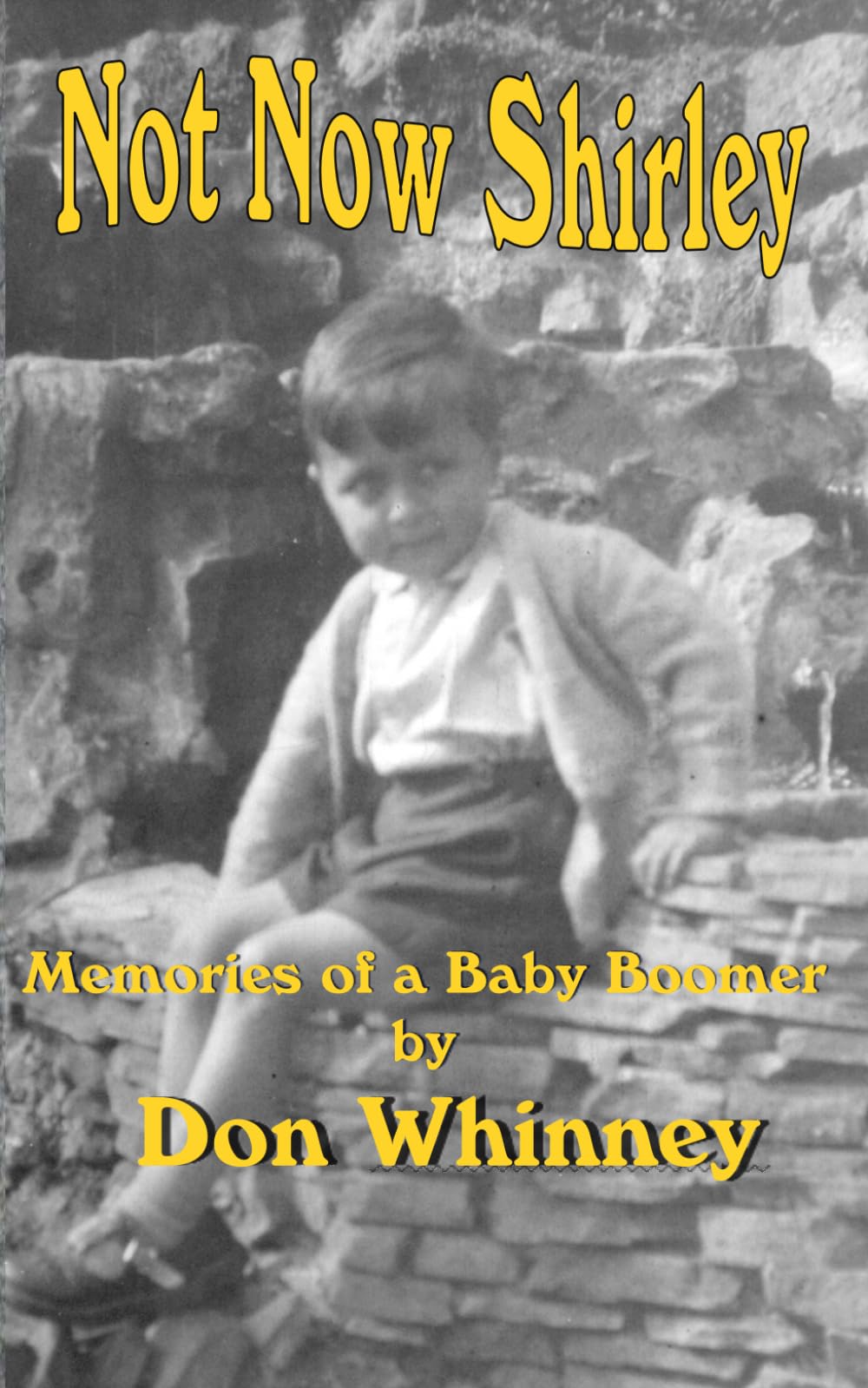 Not Now Shirley: Memories of a Baby Boomer