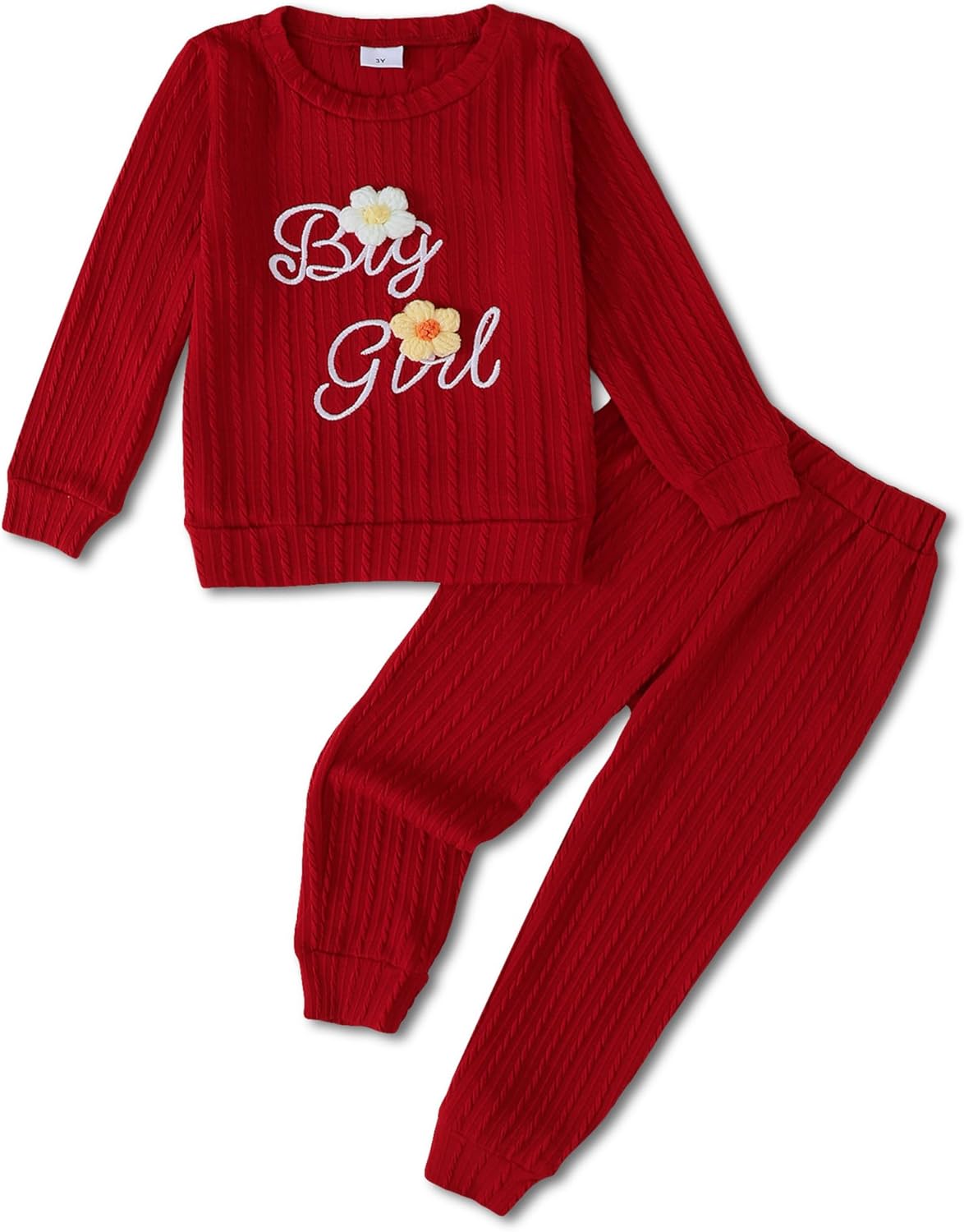 Jecson Toddler Girl Fall Clothes: Soft Outfits Set Embroidered Knit Top & Sweatpants 2Pcs Cute Home Outdoor 2-8Y