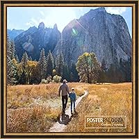 Vista 9 de Poster Palooza Marco de fotos de madera tradicional dorado antiguo de 12 x 18 pulgadas con plexiglás acrílico UV, respaldo de tablero de espuma