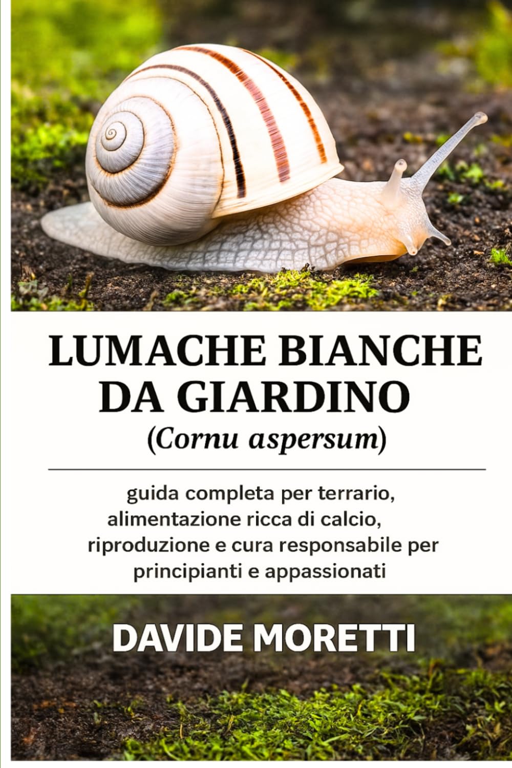 Lumache bianche da giardino (Cornu aspersum): guida completa per terrario, alimentazione ricca di calcio, riproduzione e cura responsabile per principianti e appassionati