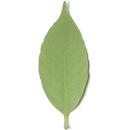 Amazon Co Jp D サーモメーター リーフ L 5枚入 D 710 L 温度で色が変わる ホーム キッチン Amazon Co Jp D サーモメーター リーフ L 5枚入 D 710 L 温度で色が変わる ホーム キッチン