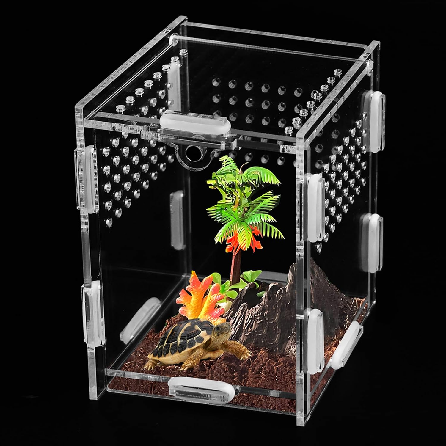 Stick Insect Enclosure Tarantula Jumping Spider Enclosure 8×7x10cm ...