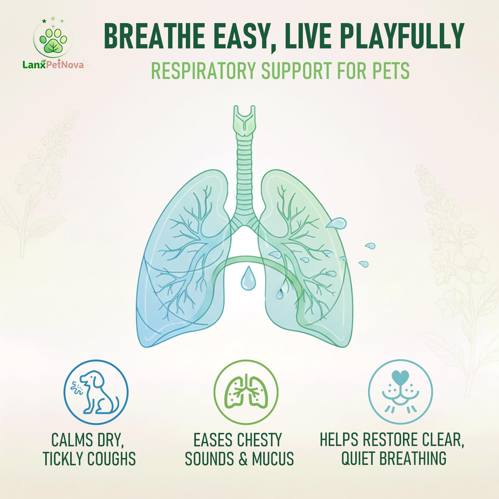 Gotas de verbasco para Apoyo pulmonar y Tos en Perros y Gatos. Alivia Tos de Perrera, Tos Seca y húmeda, Limpia pulmones, Calma Dolor de Garganta y facilita la respiración, 100% Extracto Vegetal Puro