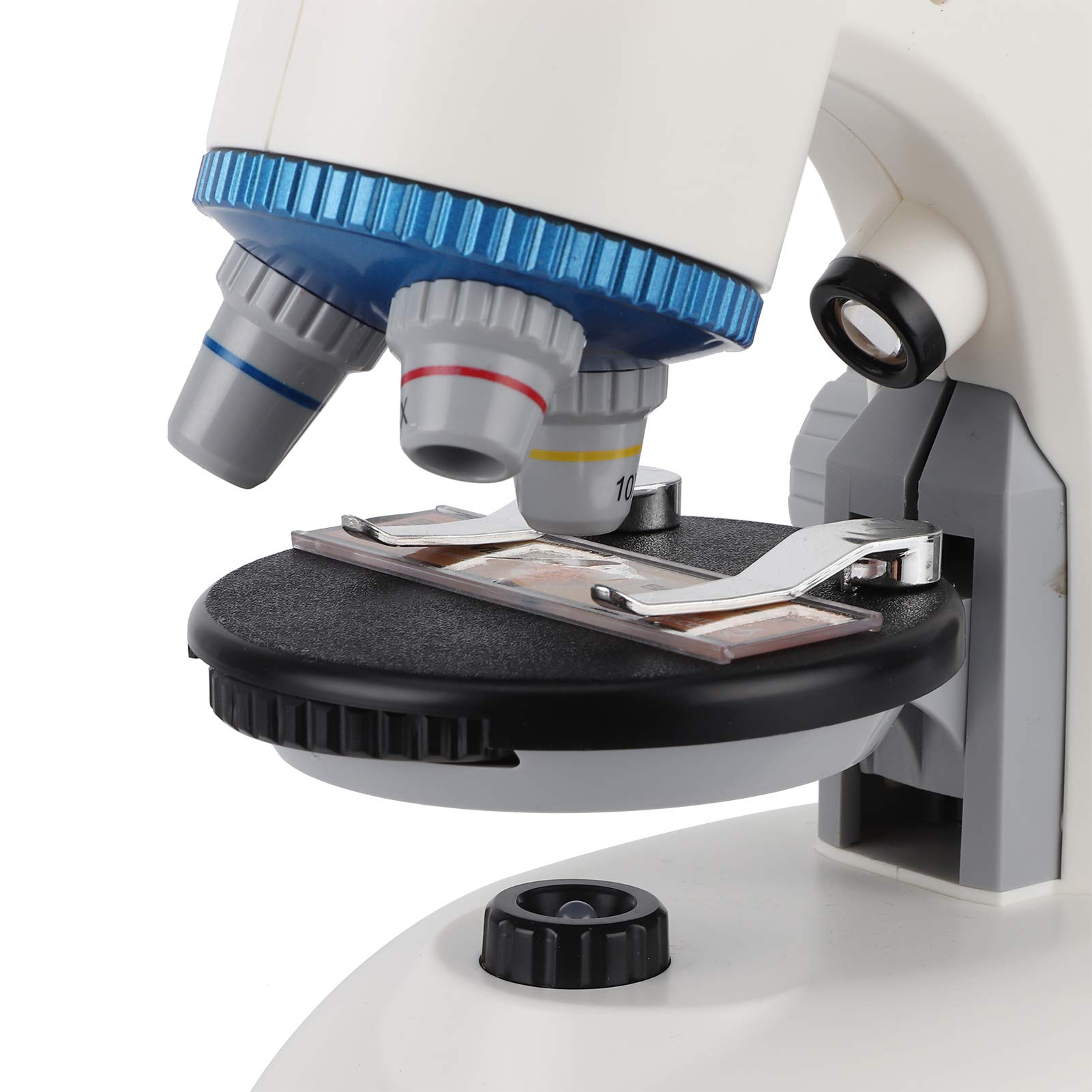 Microscopio per Bambini 40X-1200X Giocattolo Educativo con Luce LED per Giovani Appassionati di Scienze Rispettoso Dell'ambiente (Bianca)