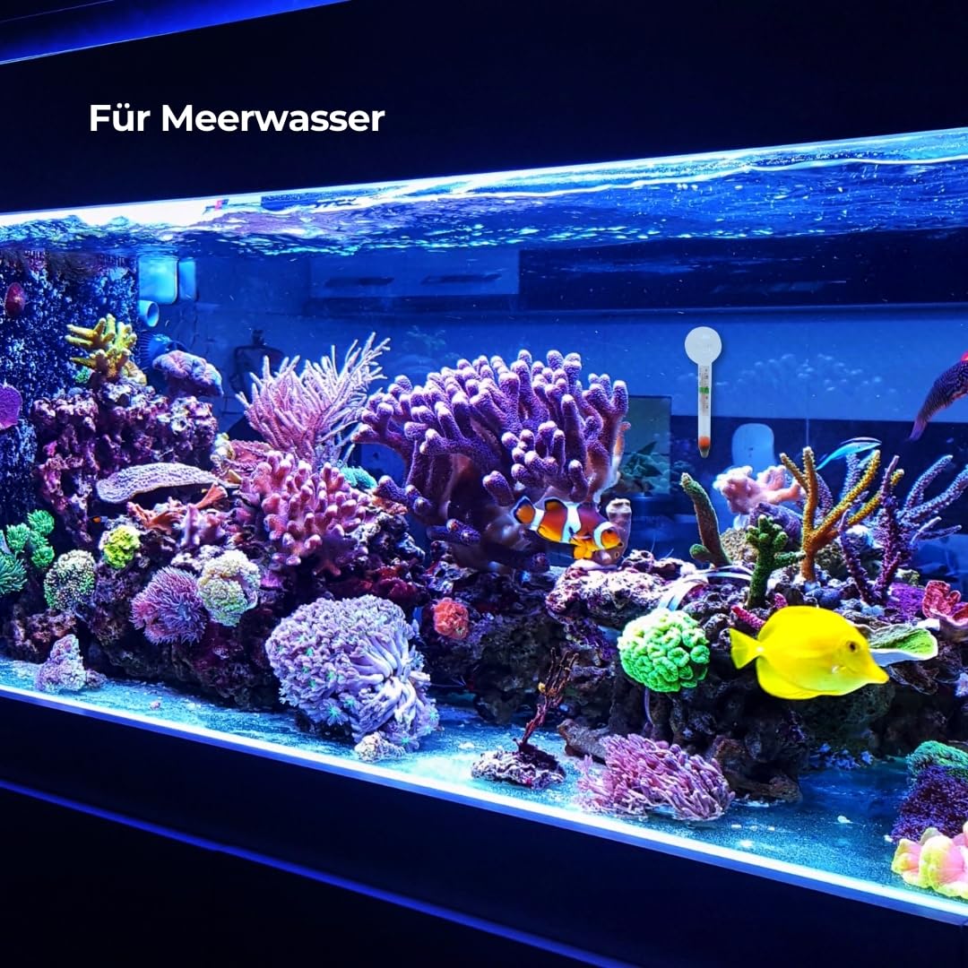 Termometro Digitale Per Acquario Adesivo, Senza Fili, Con Display LED, -50°C A 70°C, Per Acqua Dolce E Marina