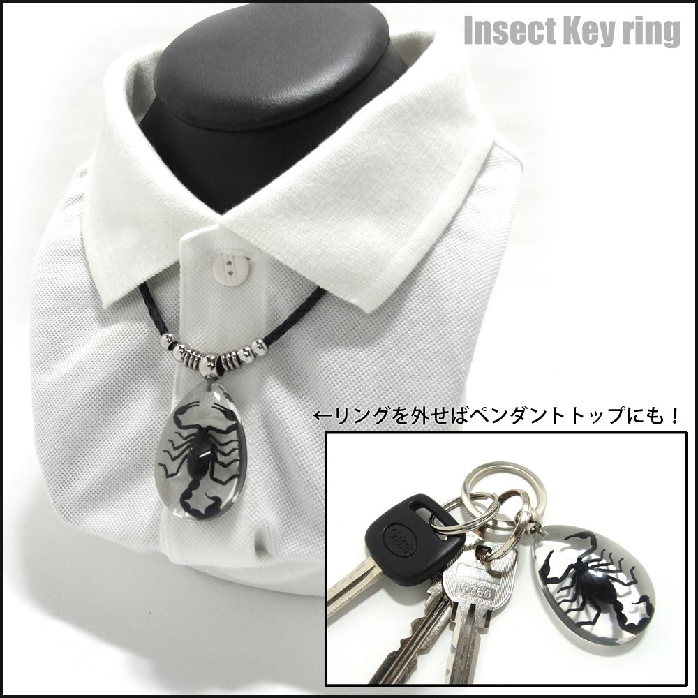 Amazon.co.jp: Insect Keyring 【コガネムシ】 キーホルダー 昆虫 