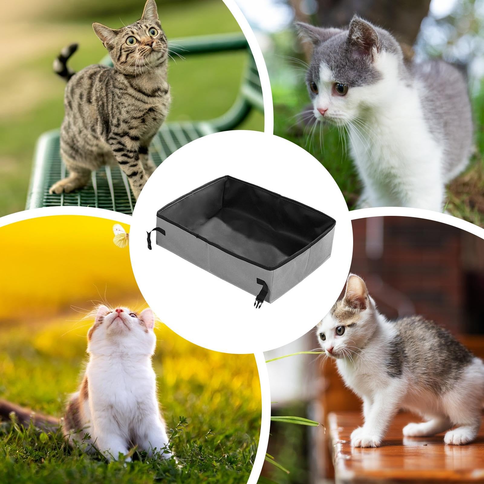 Lettiera da viaggio per gatti | Trasportatore portatile per gatti – Lettiera compatta per i viaggi con gatti e auto campeggio
