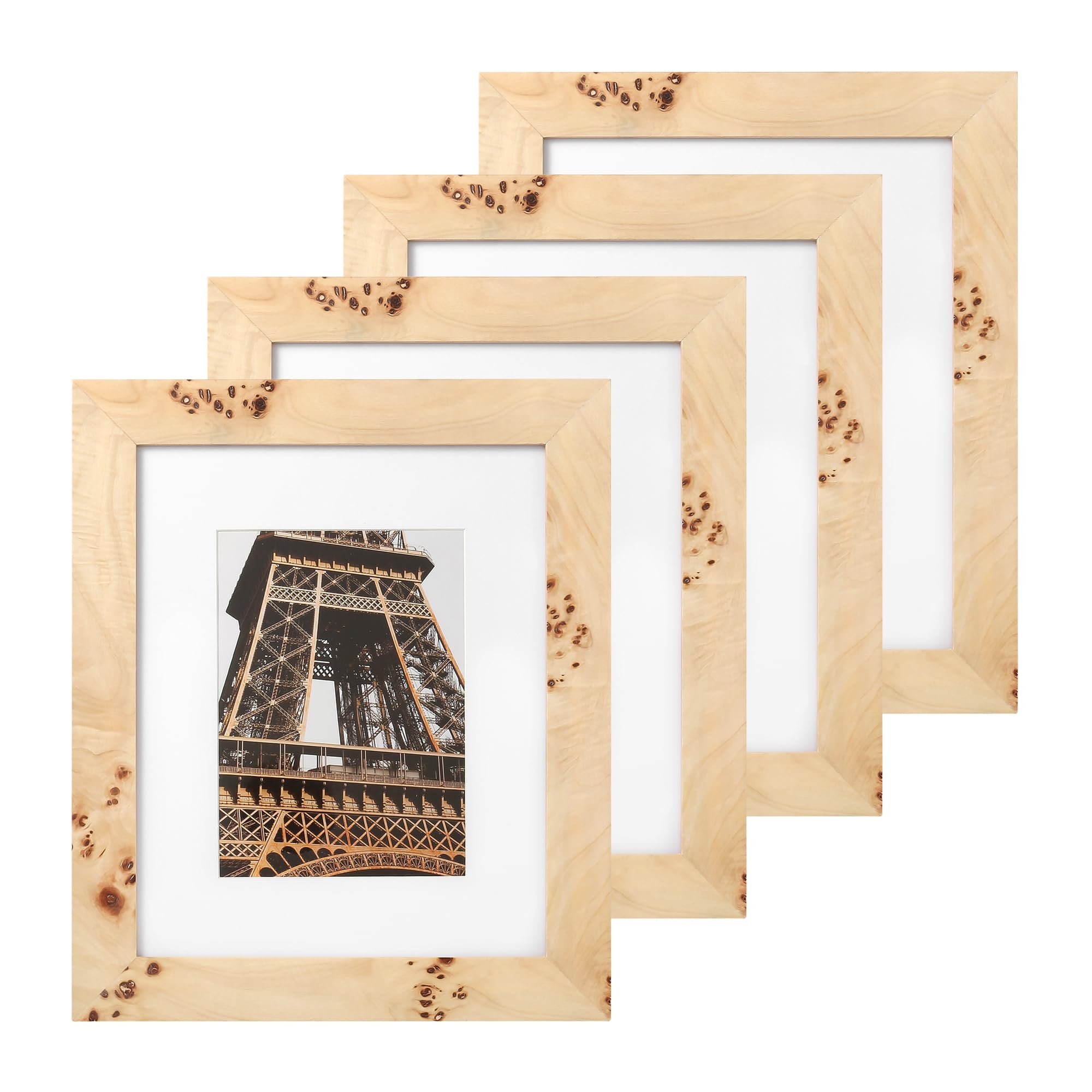Concepts - 8x10 Matted to 5x7 Burl Wood Picture Frames - Natural Wood Finish Picture Frames for Family Photos - Elegant Wallhung Decor in Bulk