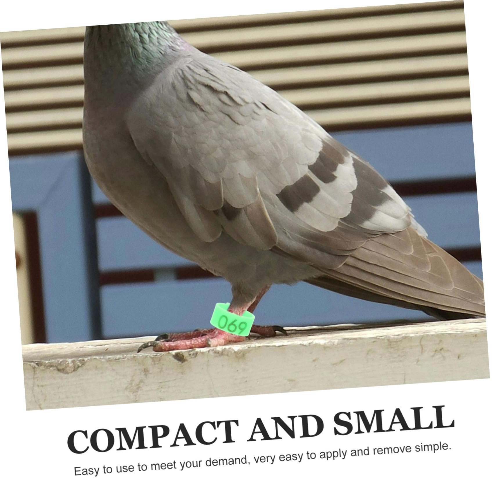 BESPORTBLE 500piezas Anillos De Identificación para Aves Anillos De De Pollo Anillas De Pies para Palomas y Periquitos Prácticos y Fáciles De Usar