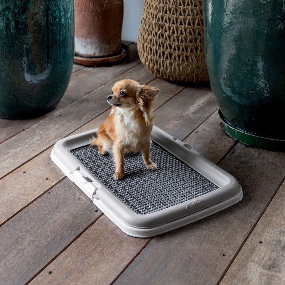 Paluplus Toilette Educativa per Animali, Misura 60x40 cm, tappetino con piedini antiscivolo e Torretta per Cani Maschi, Lettiera per Addestramento cuccioli cane e gatto -0600F