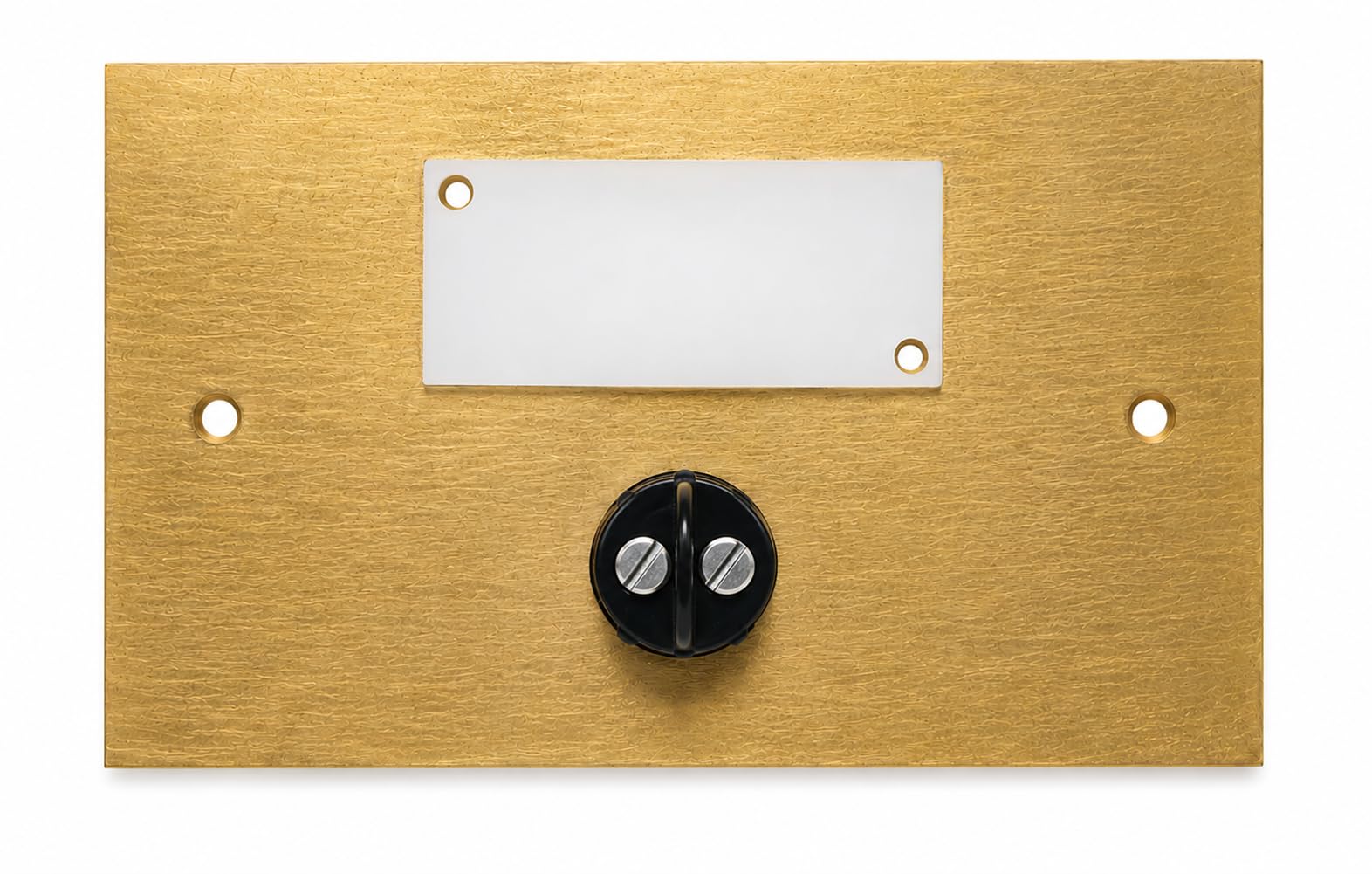 Neroni Mameli Campanello in Ottone Lucido/Satinato per Esterno abitazione - Porta Ingresso Casa, con Pulsante Elettrico - Modello Ottaviano - Made in Italy