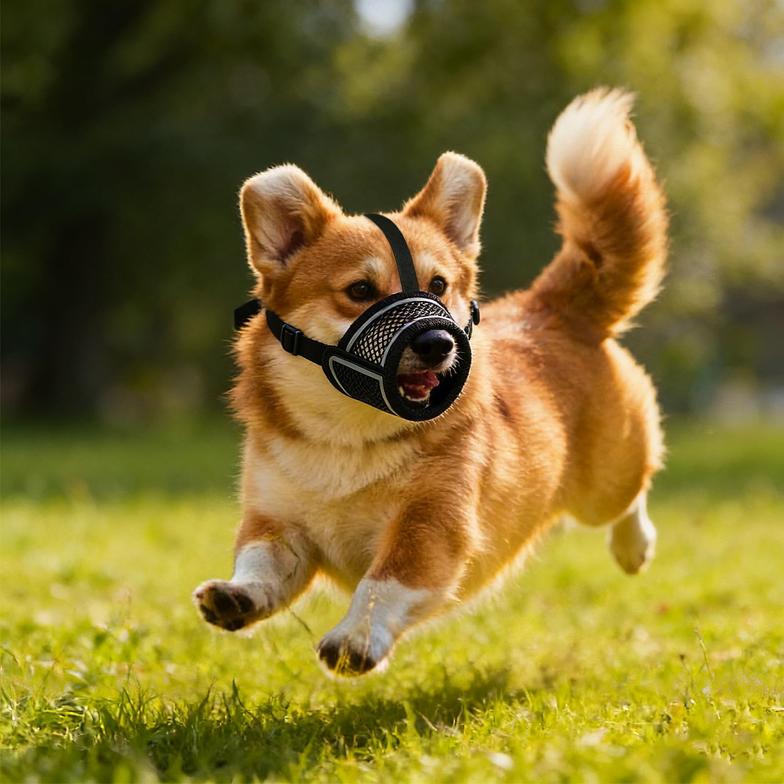 Museruola Per Cane in Nylon,Museruola Traspirante per Cani,Dog Muzzle Regolabile Cane,Traspirante Museruole per Cani in Rete,Prevenire Morsi Masticare e le Ingestioni Sostanze Nocive (XL)