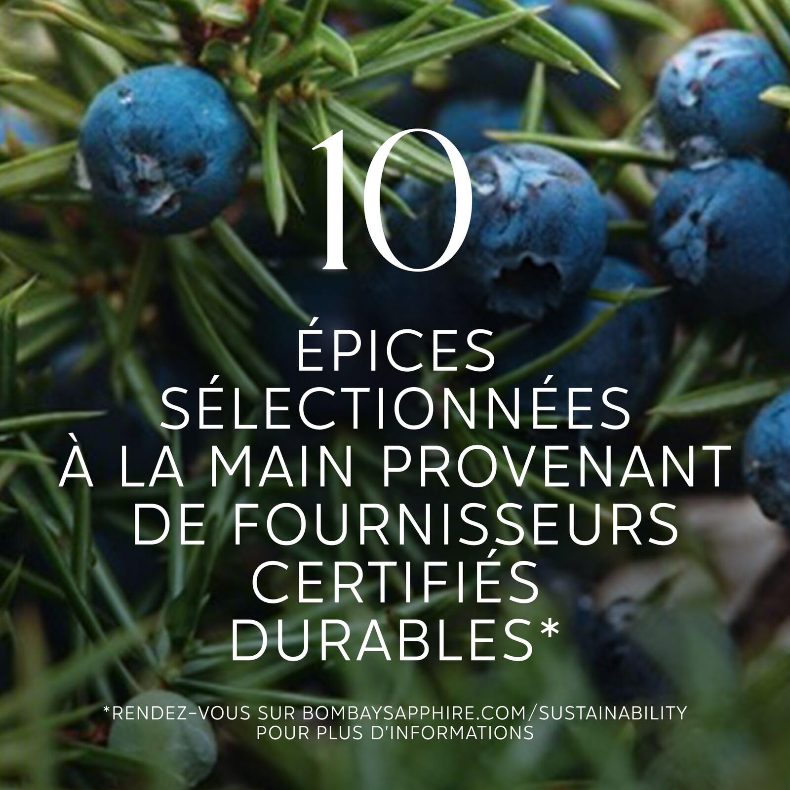 Bombay Sapphire London Dry Gin, 40 % vol., 70 cl / 700 ml, Un Spiritueux Infusé à la Vapeur, Élaboré à Partir de 10 Plantes Aromatiques Rigoureusement Sélectionnées à la Main