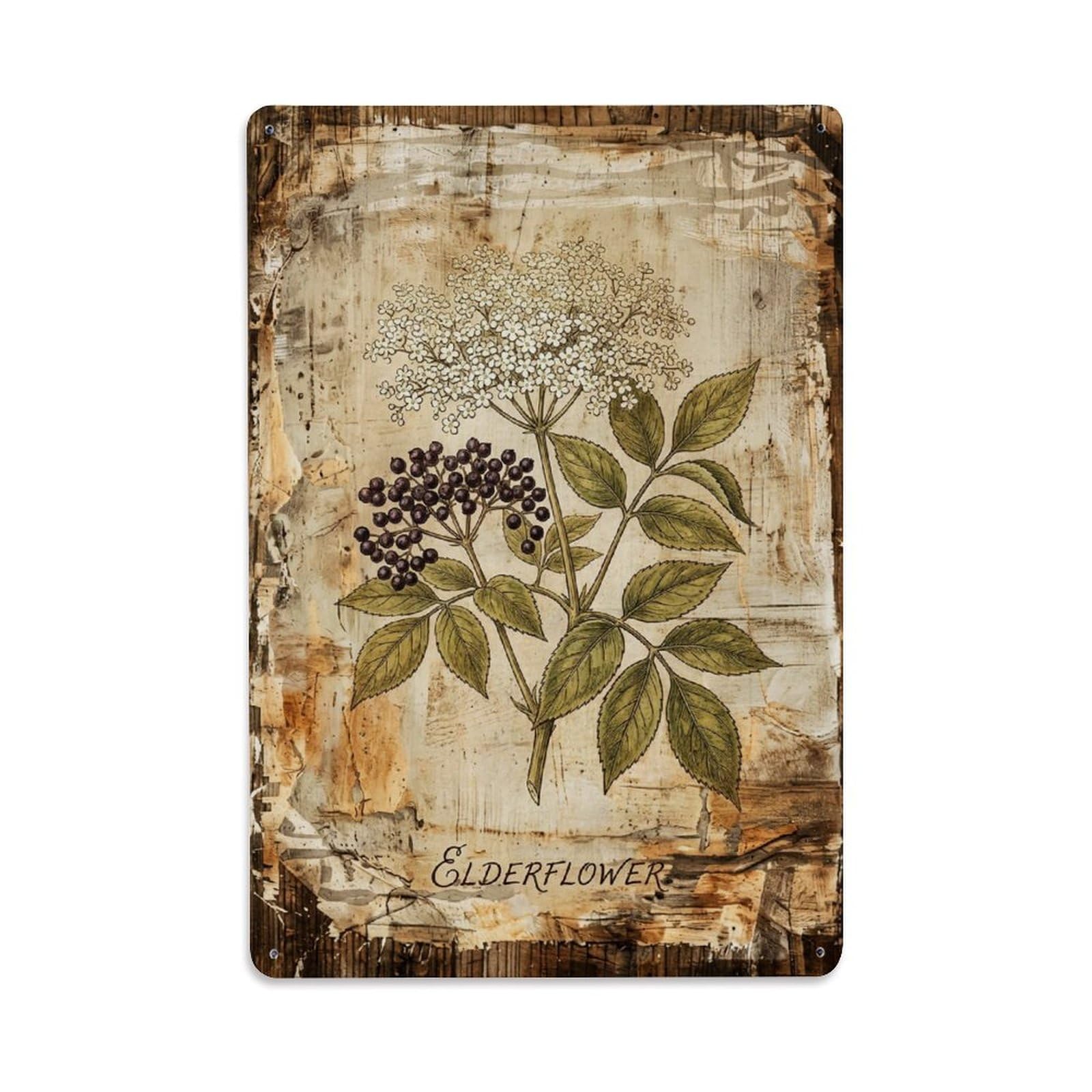 Elderflower Botanical Vintage Metal Tin Sign Plaque Wall Decor for Cafe, Club, Garden Metal Poster 8x12Inch