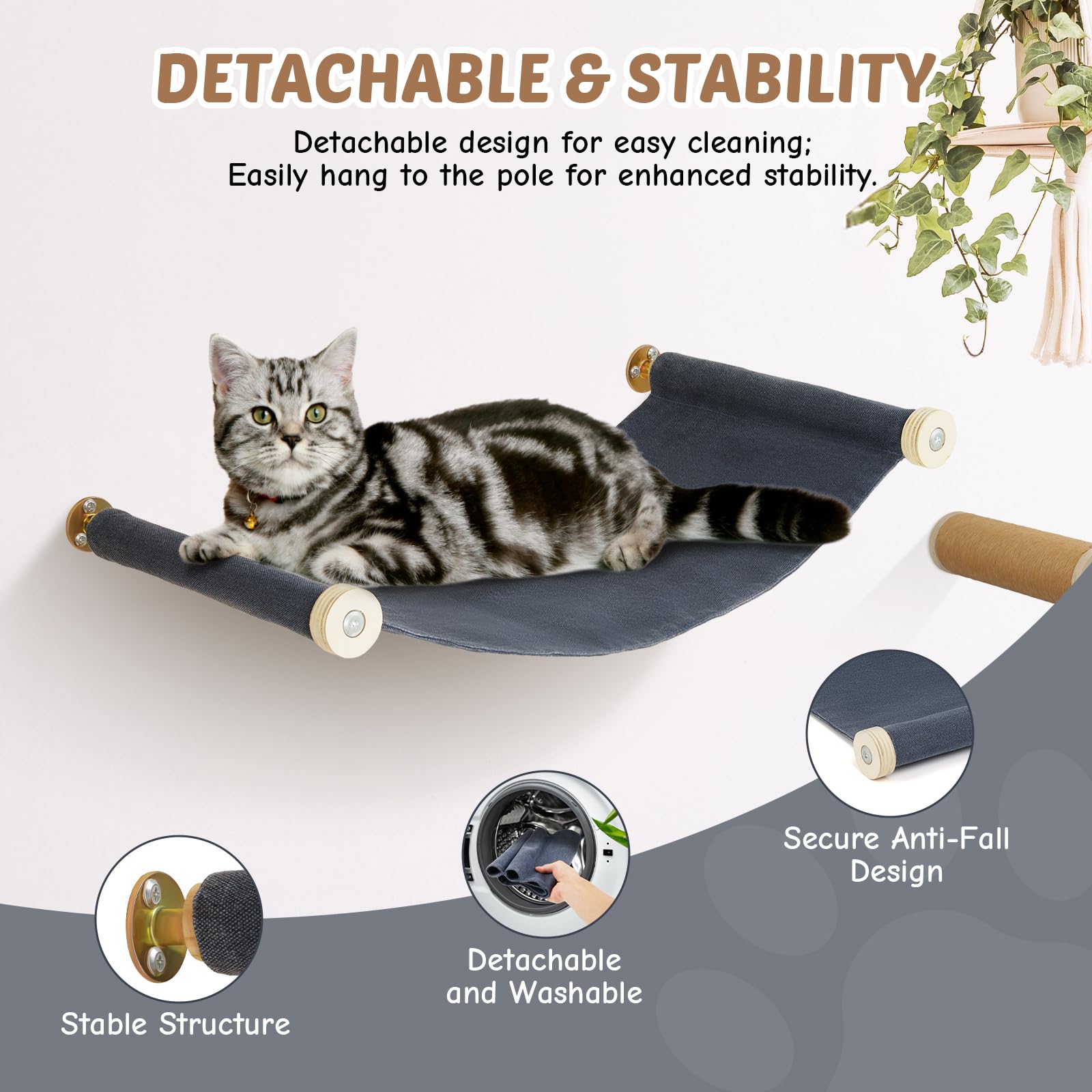Set da parete modulare per gatti – in legno di betulla | 5 in 1 elementi da parete per gatti e passerella | Portata massima 35 kg | Montaggio semplice fai da te