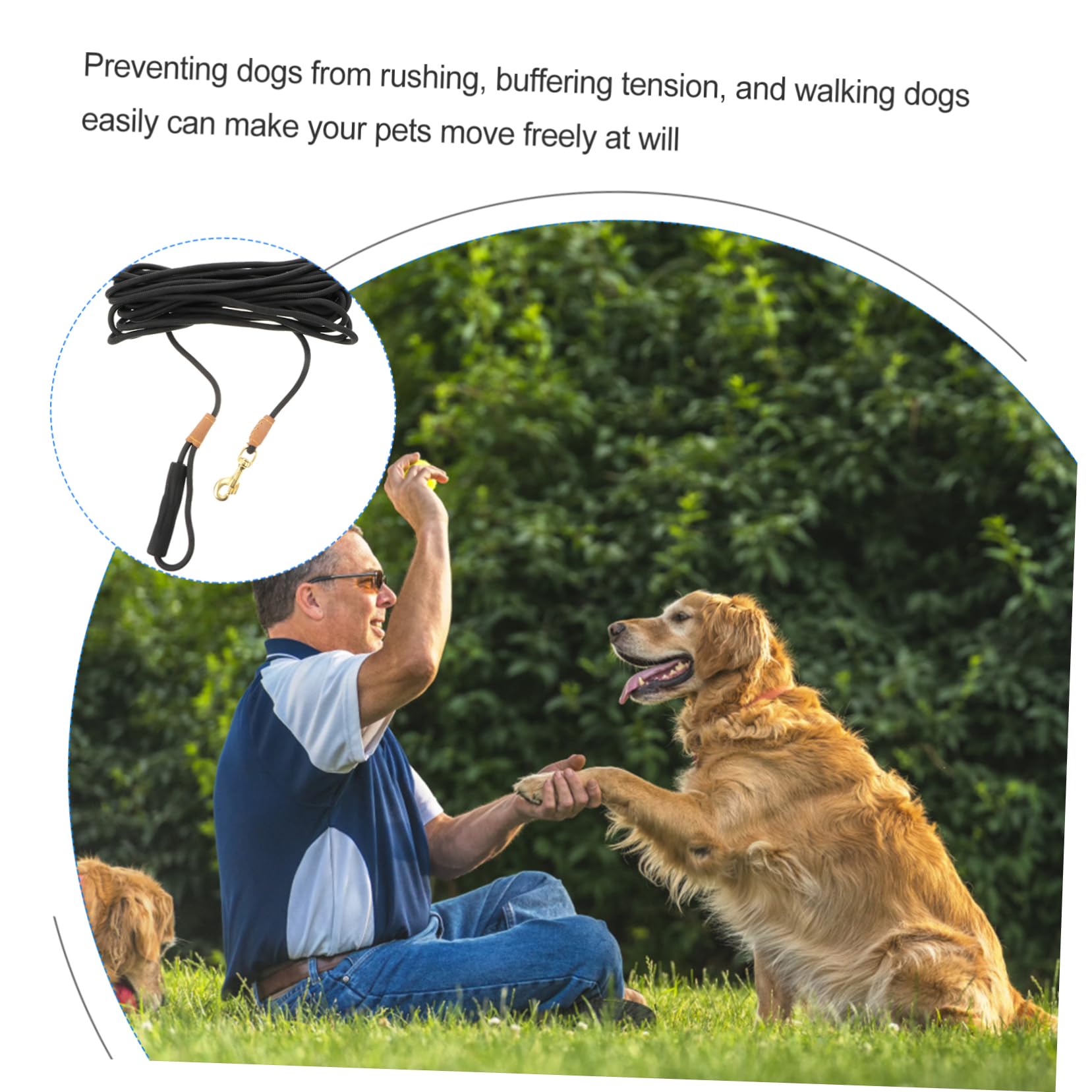 BESTonZON Laisse De Traction pour Chien Mètres Laisse pour Entraînement Et Activités Extérieures Convient Aux Chiens De Moyenne à